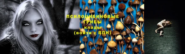 spice Зеленокумск