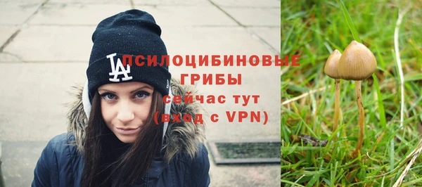 мяу мяу мука Зеленодольск
